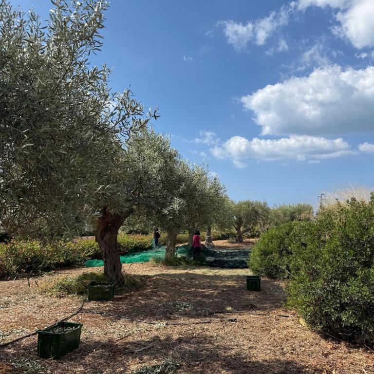 Guest house with pool & sea view, Casa Faro - Appartamento con 2 Camere da Letto - 20