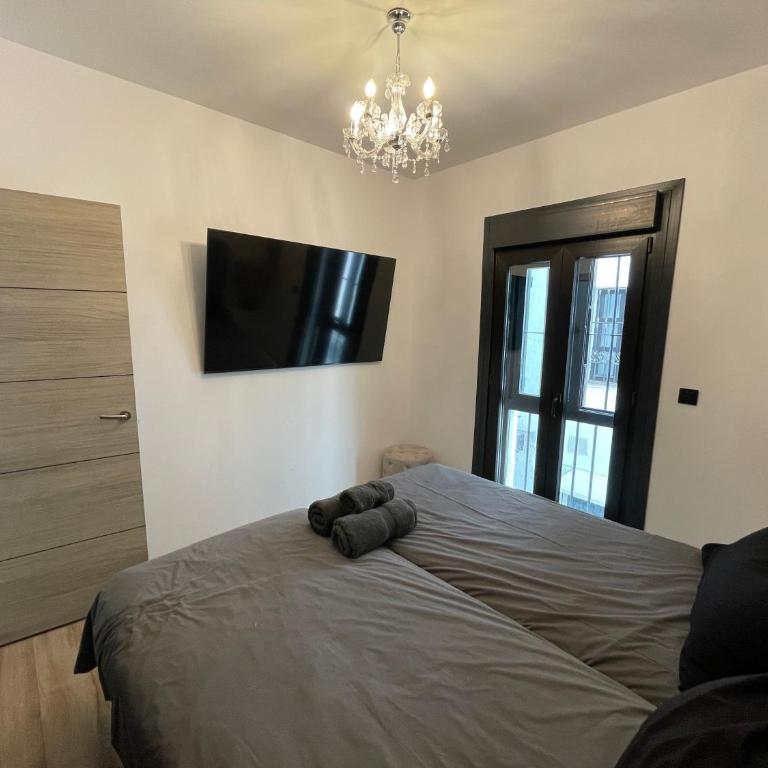 Apartamento en Puerto Banus con vista al puerto - Apartamento de 3 dormitorios - 15