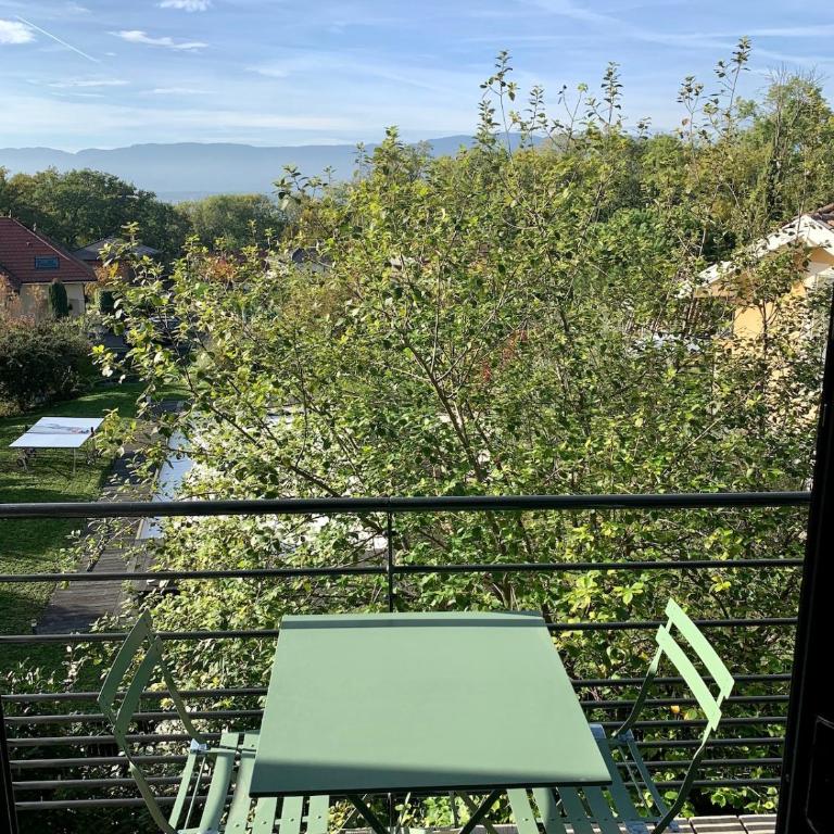 View Geneva Lake, private residence, swimming pool - Appartement 2 Chambres - 20