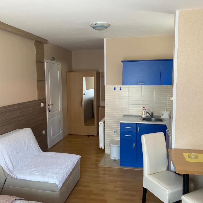 KONAK ViLA MIRKOVIĆ - Porodični Studio - 5