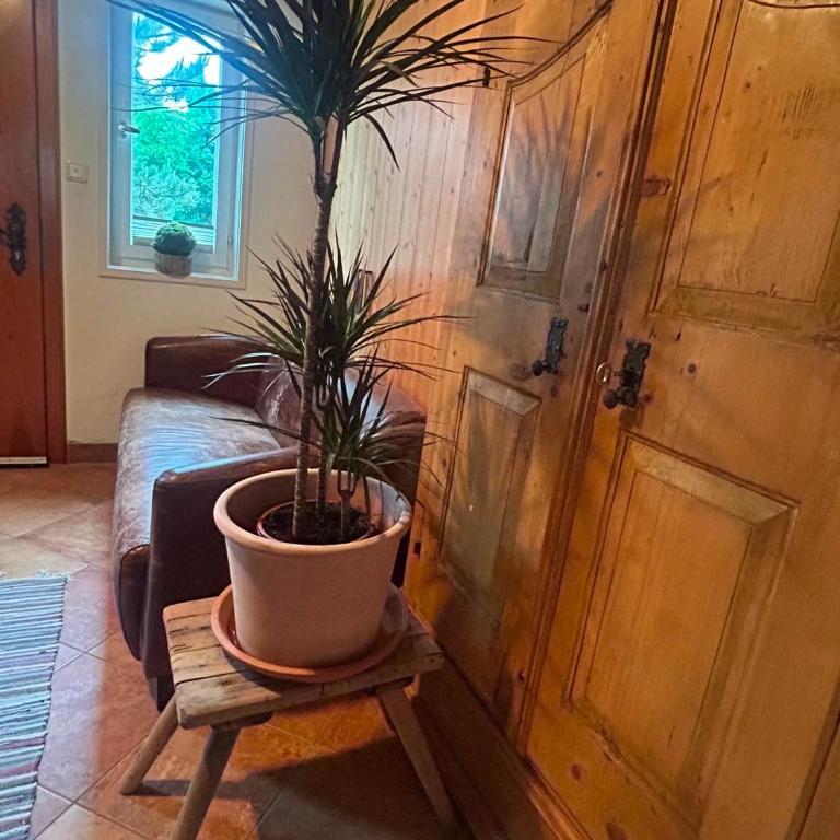 Landhaus Thanner - Apartment - 5