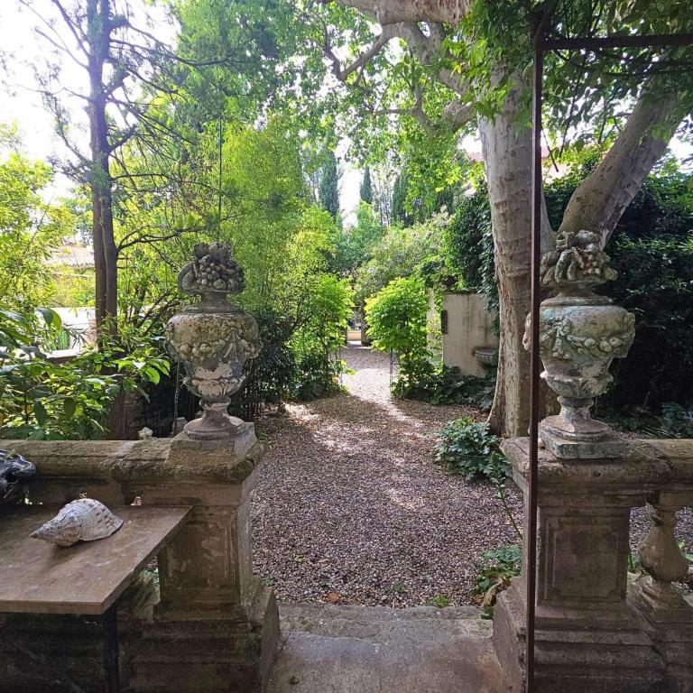 Notre dame des miracles au coeur d'Avignon - Villa - 18