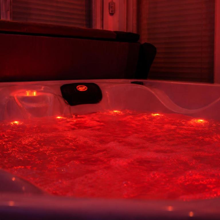 Eaux Spa - Chambre Lit Queen-Size avec Baignoire Spa - 8