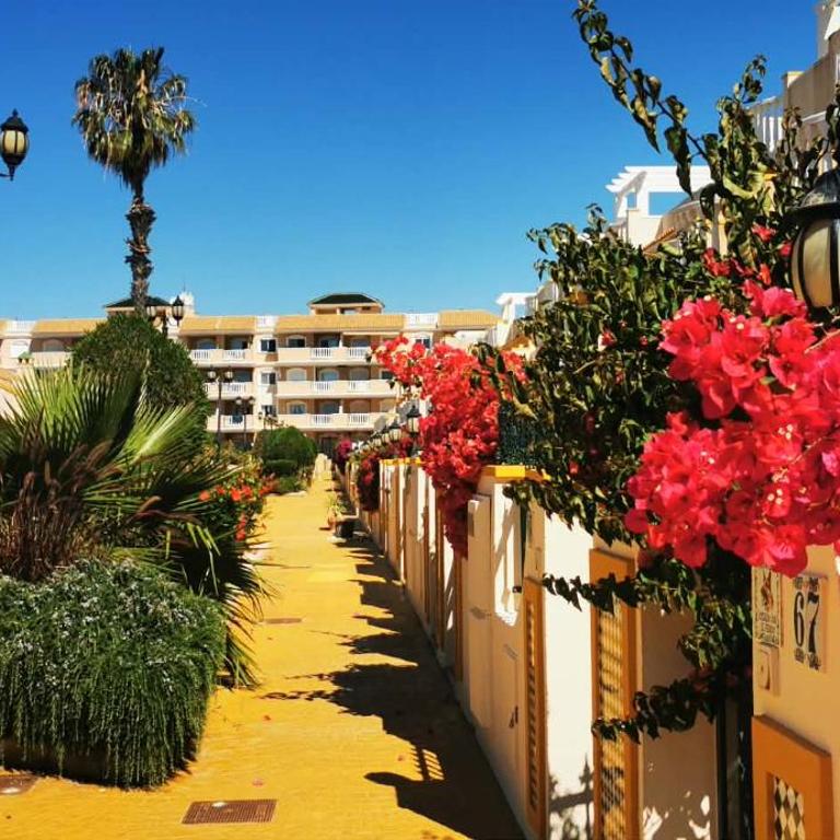 Casa Alba Mar - Appartement 1 Chambre - 12