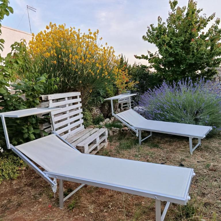 Trullo in piena valle d'itria del 1800 - Casa con 3 Camere da Letto - 6