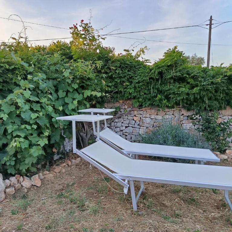 Trullo in piena valle d'itria del 1800 - Casa con 3 Camere da Letto - 10