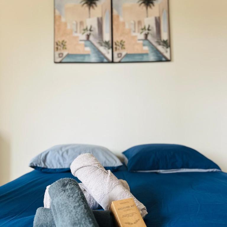Charmant studio au Vieil Antibes - Plages à pied - Apartment mit 1 Schlafzimmer - 21