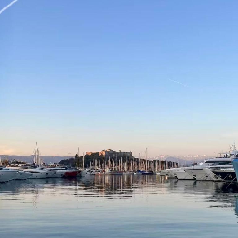 Charmant studio au Vieil Antibes - Plages à pied - Apartment mit 1 Schlafzimmer - 25