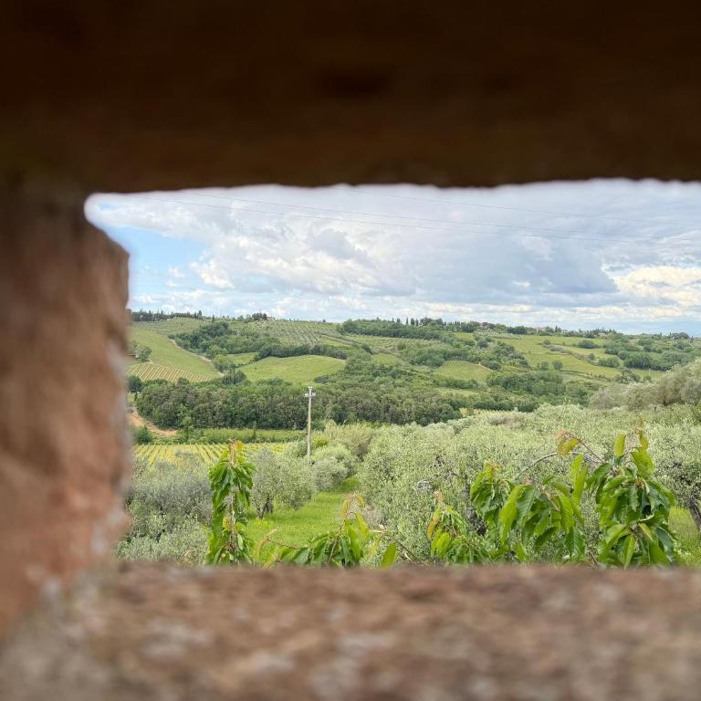 Casa alle Allodole - Appartamento con 2 Camere da Letto - 18