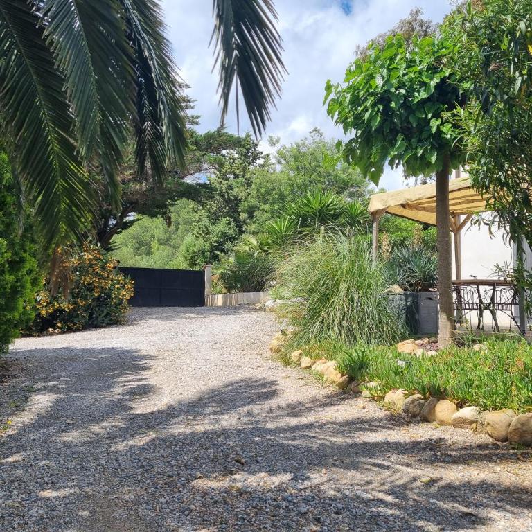Villa Pitchou - One-Bedroom Apartment - 1