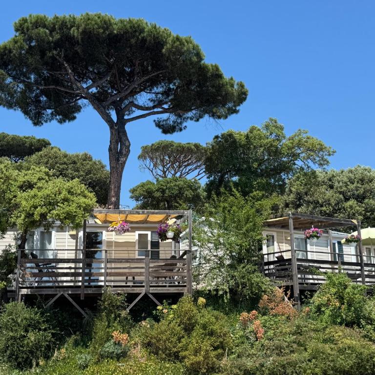 Camping les Lauriers Roses - Mobil home Opio – 4pers 2 ch - 24m² - Climatisation - 9