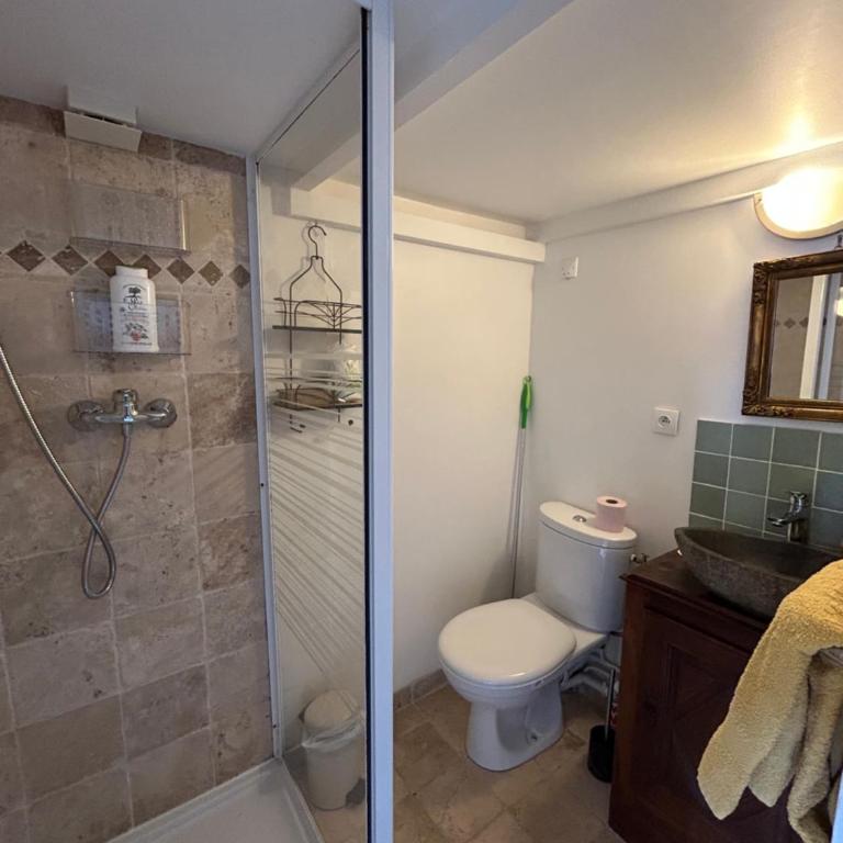 Studio entièrement rénové donnant sur jardin arboré dans le calme absolu - Appartement 1 Chambre - 6