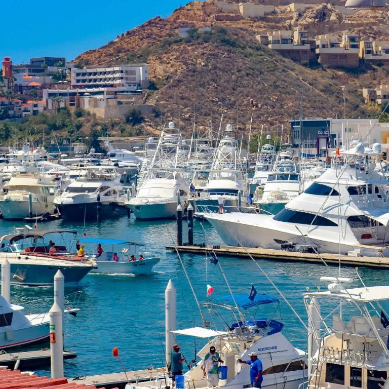 Ocean & Marina Views, Balcony & Rooftop Pool - Apartamento - 30