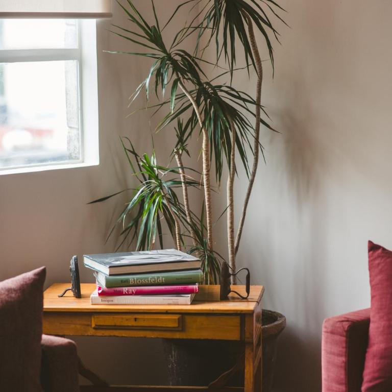 Charming flat with art & natural light in Condesa - Apartamento - 7