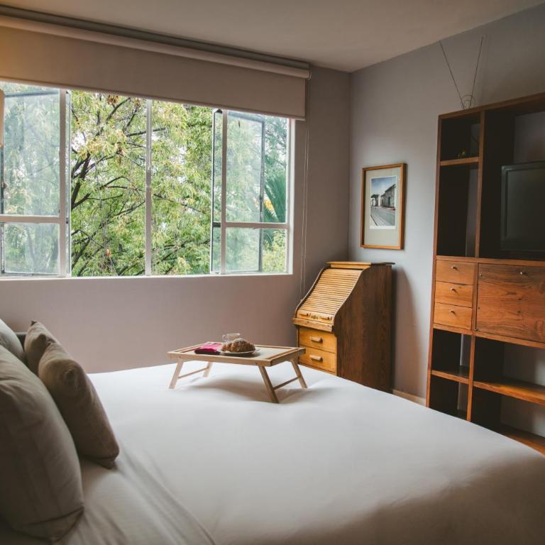 Charming flat with art & natural light in Condesa - Apartamento - 19