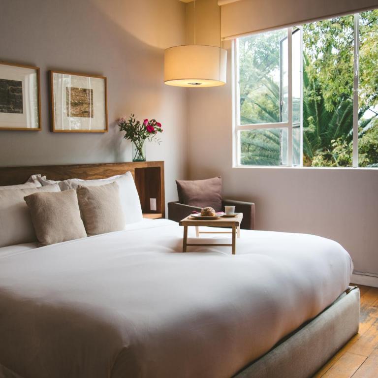 Charming flat with art & natural light in Condesa - Apartamento - 20