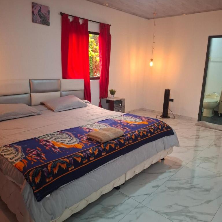 Penthouse Premium Jacuzzi, Chimenea, City view - Apartment - 38