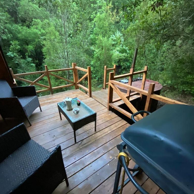 Mini Cabaña con vertiente en medio del Bosque Valdiviano - Double Room with Terrace - 1