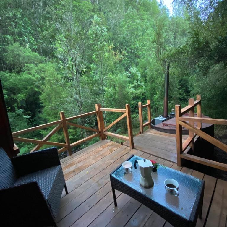 Mini Cabaña con vertiente en medio del Bosque Valdiviano - Double Room with Terrace - 12