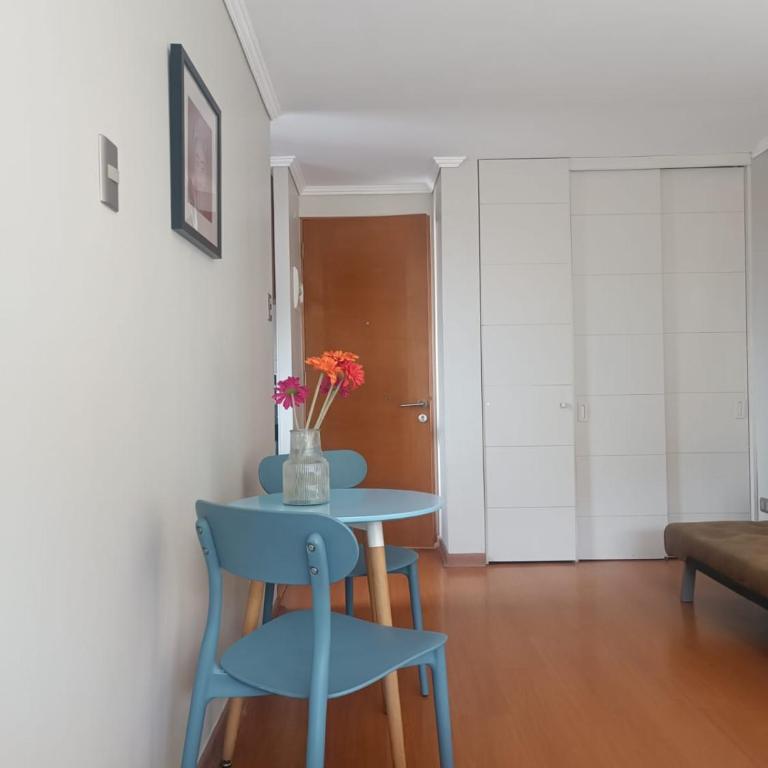 Apart Barrio Lastarria - Apartamento Estudio - 1 cama doble - 3