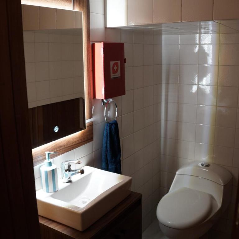 Arrona apartment in Colonia Reforma - Two-Bedroom Apartment - 17