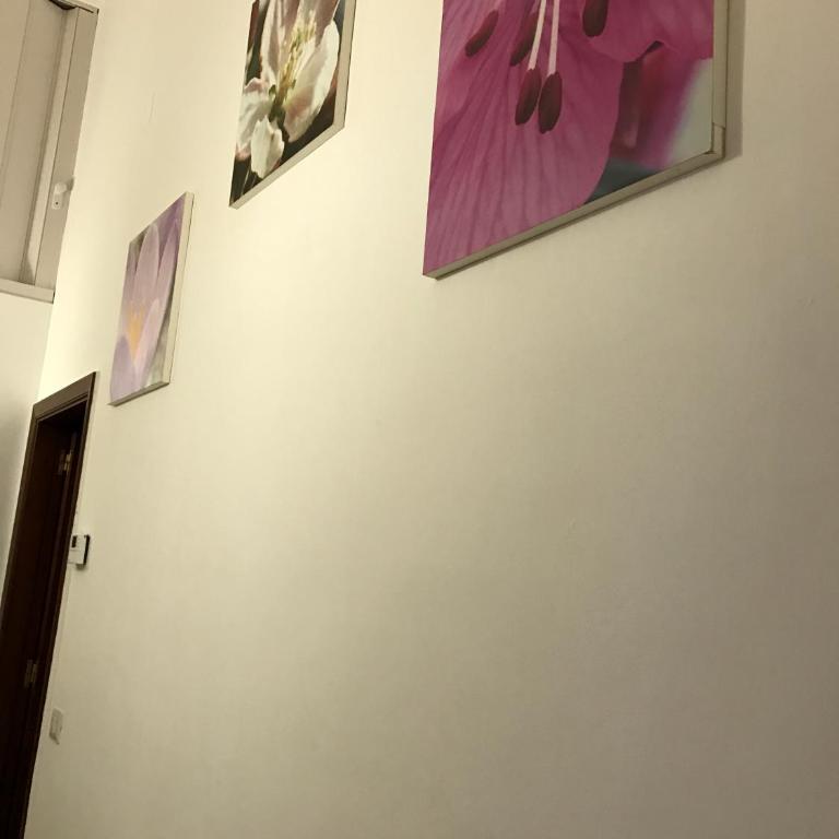 Casa Vacanze Mamarose - Casa con 1 Camera da Letto - 22