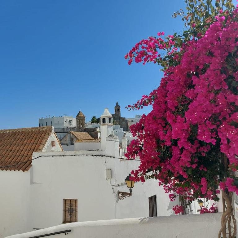 Casa Vista De La Luz Vejer-Chaleureux Appartement - Two-Bedroom Apartment - 24