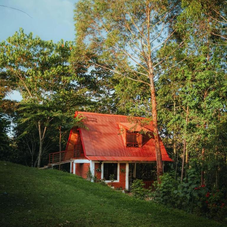 Cabaña Moyobamba - Double or Twin Room with Terrace - 1