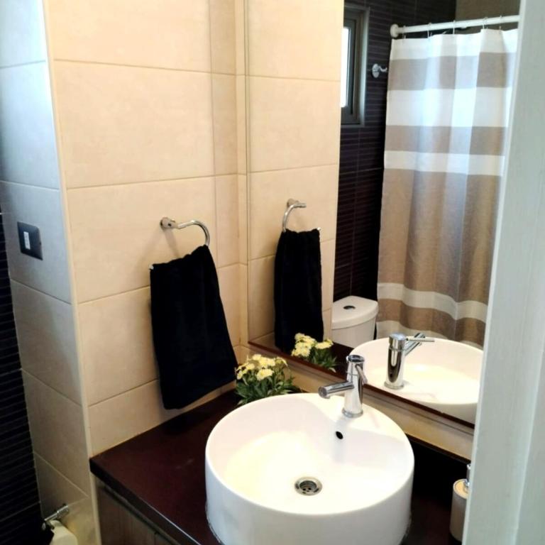 Renovated and Spacious apartment in Santiago! - Apartamento de 1 dormitorio - 6