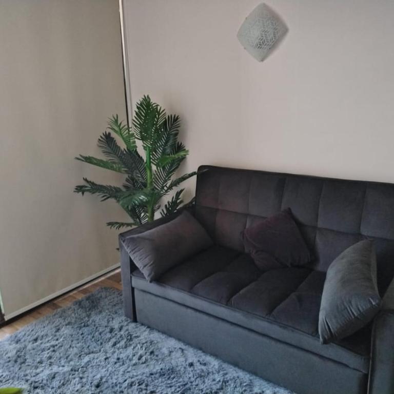 Renovated and Spacious apartment in Santiago! - Apartamento de 1 dormitorio - 27