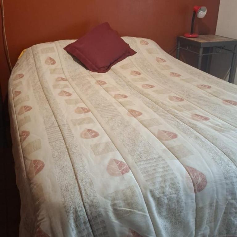 Lo de Roo 2 - Apartamento de 1 dormitorio - 3