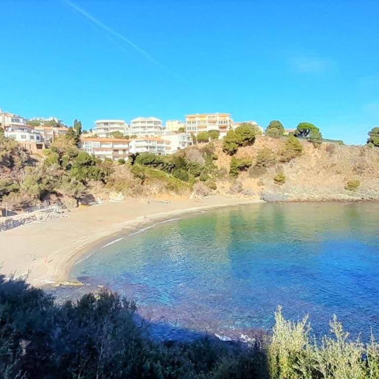 Apartamento con terraza, parking y se admiten mascotas en Llançà - ES-170-3 - Appartement - 19