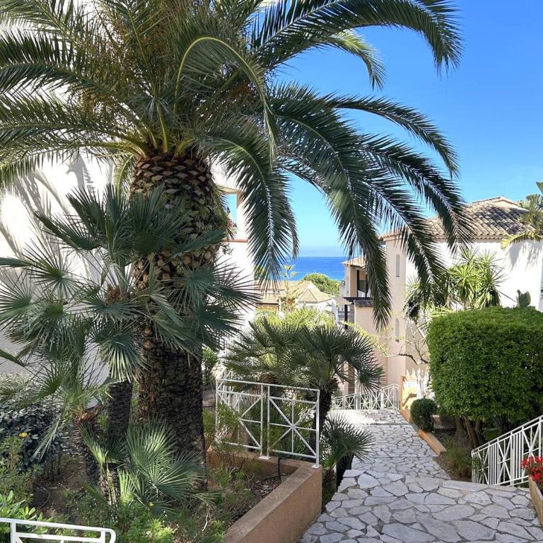 Appartement climatisé, vue mer - 4 pers. - FR-1-251-950 - Appartement - 13