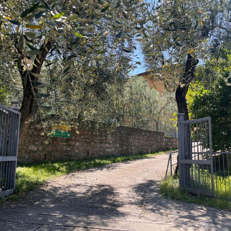 180 Lake View Malcesine - Appartement 1 Chambre - 5