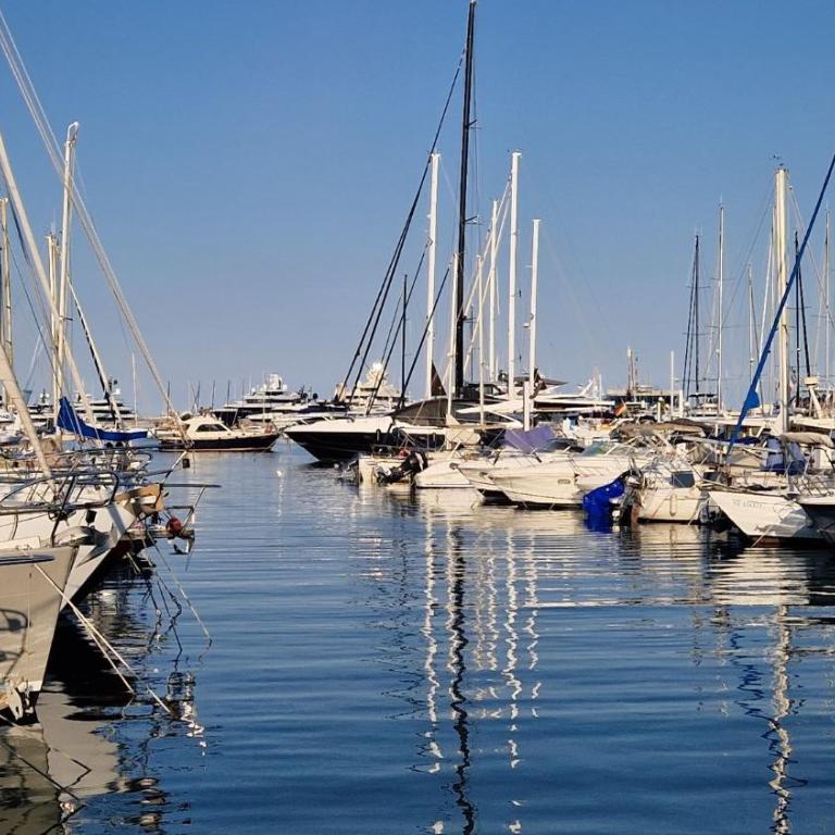 Registered Accomodation 4 stars and 30mn Nice Cannes Antibes - Maison de Vacances - 40