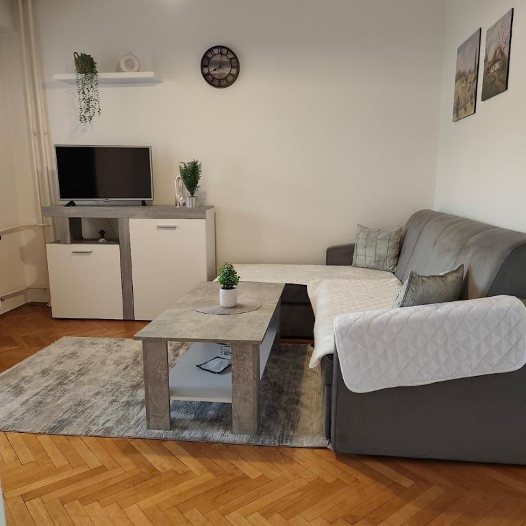 Sarajevo Comfort Stay - Apartman sa 1 Spavaćom Sobom - 3