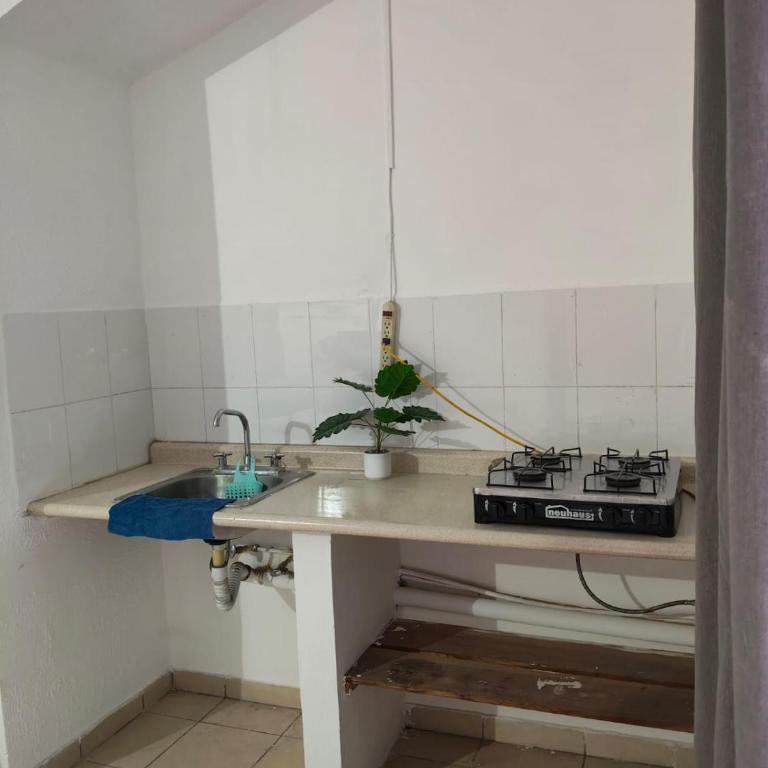Casa Lawy - Apartamento de 1 dormitorio - 3