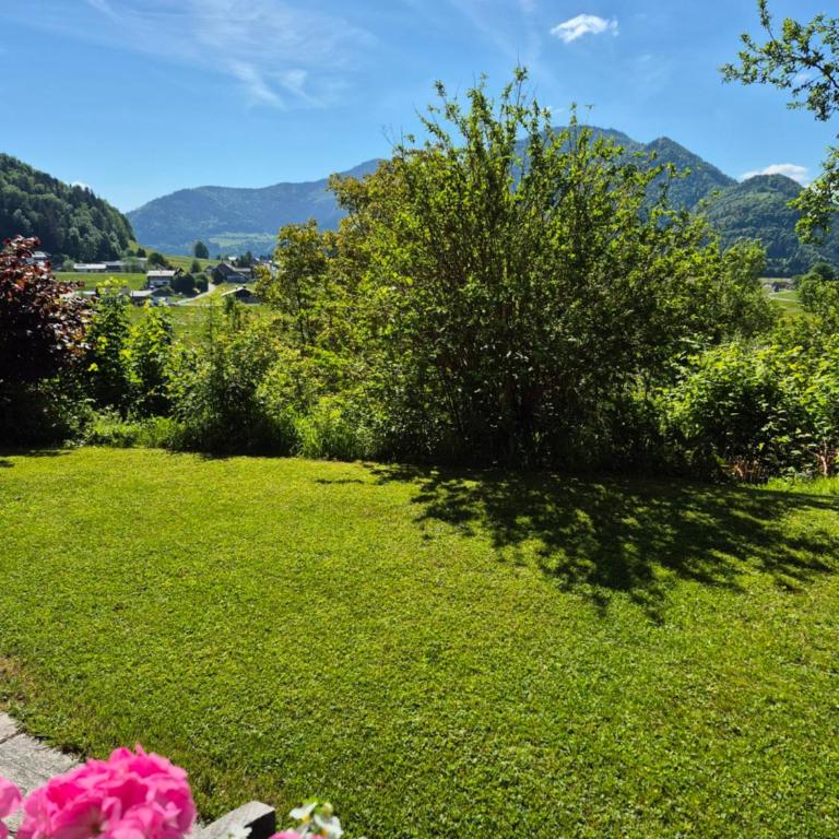 Appartements Ferienwohnungen Alpenblick - Superior Apartment mit 2 Schlafzimmern mit eigenem Garten - 11