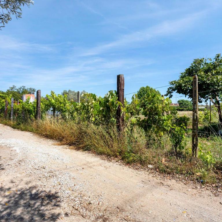 I Bibi Vacation Home - Haus mit 2 Schlafzimmern - 29