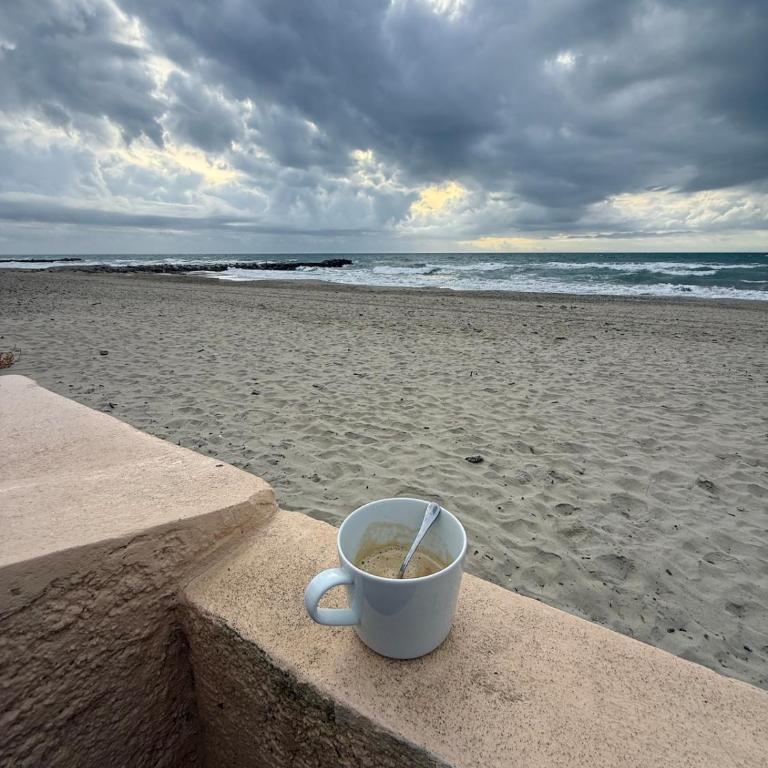 Appartement bord de mer tout équipé 4 personnes ,1 lit double et 1 lit superposé, accès direct plage, climatisation, parking privé gratuit - Appartement 2 Chambres - 18