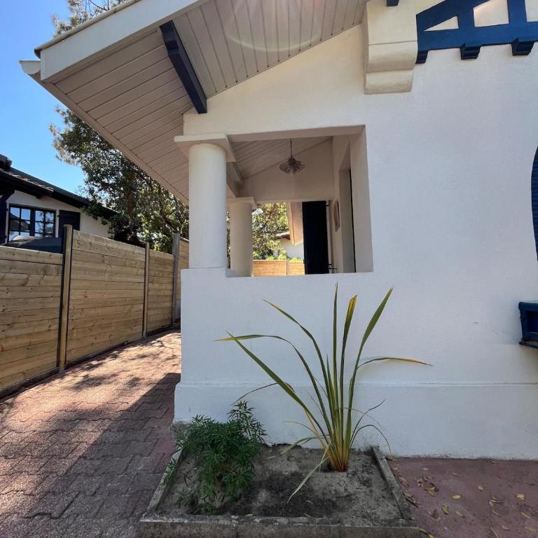 Detached house near Pereire and Moulleau - Casa con 2 Camere da Letto - 7