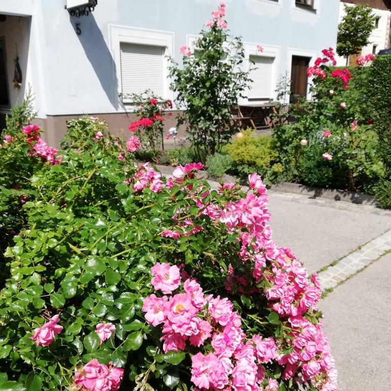 Ferienwohnung Walker - Apartment mit 1 Schlafzimmer - 3