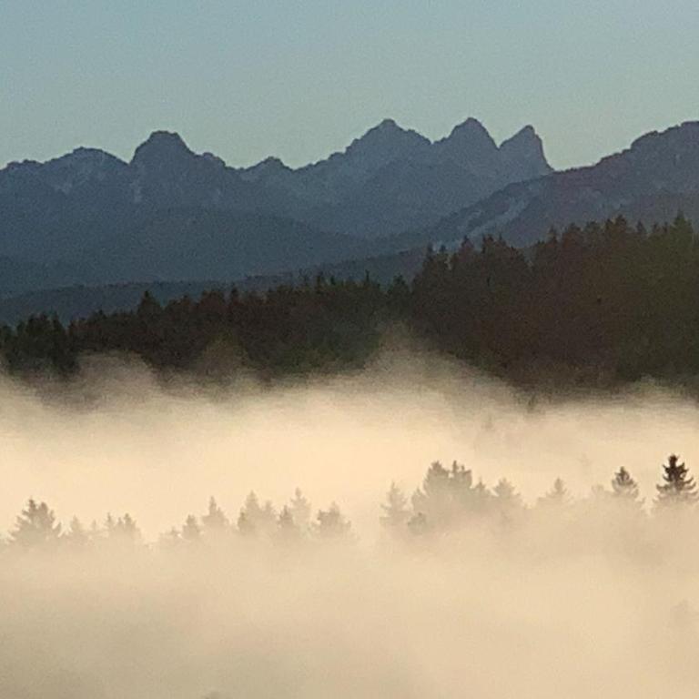 Allgäu Holzhaus I Bergpanorama & Natur pur im Herzen des Allgäus! - Haus mit 3 Schlafzimmern - 22