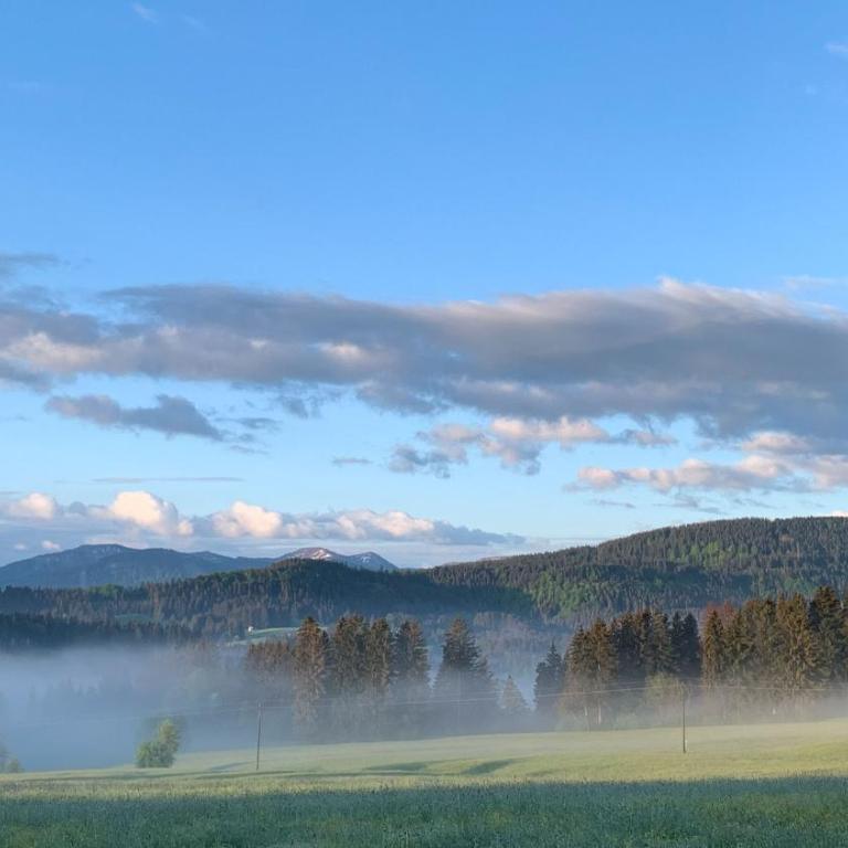 Allgäu Holzhaus I Bergpanorama & Natur pur im Herzen des Allgäus! - Haus mit 3 Schlafzimmern - 6