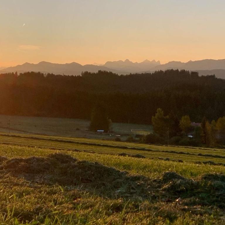 Allgäu Holzhaus I Bergpanorama & Natur pur im Herzen des Allgäus! - Haus mit 3 Schlafzimmern - 9