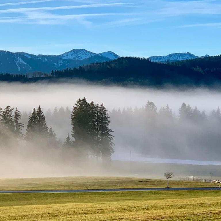 Allgäu Holzhaus I Bergpanorama & Natur pur im Herzen des Allgäus! - Haus mit 3 Schlafzimmern - 11