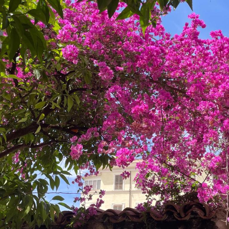 The Quiet Garden at San Giovanni - One-Bedroom Apartment with Garden - 30
