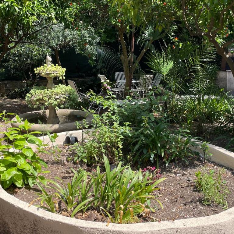 The Quiet Garden at San Giovanni - One-Bedroom Apartment with Garden - 39