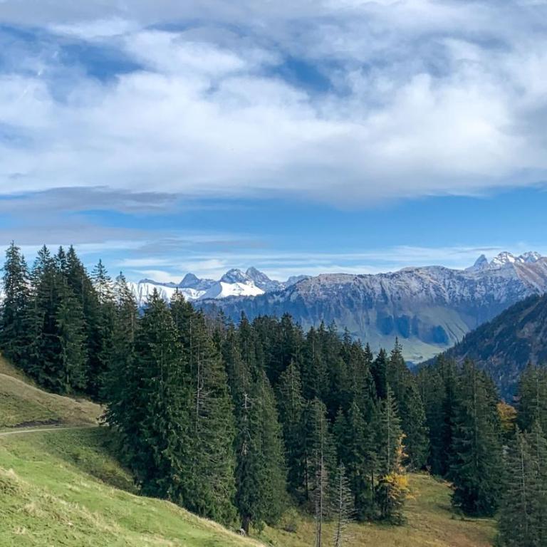 Allgäu Holzhaus I Bergpanorama & Natur pur im Herzen des Allgäus! - Haus mit 3 Schlafzimmern - 94