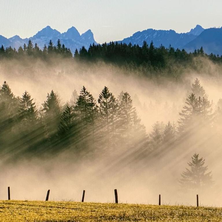 Allgäu Holzhaus I Bergpanorama & Natur pur im Herzen des Allgäus! - Haus mit 3 Schlafzimmern - 15